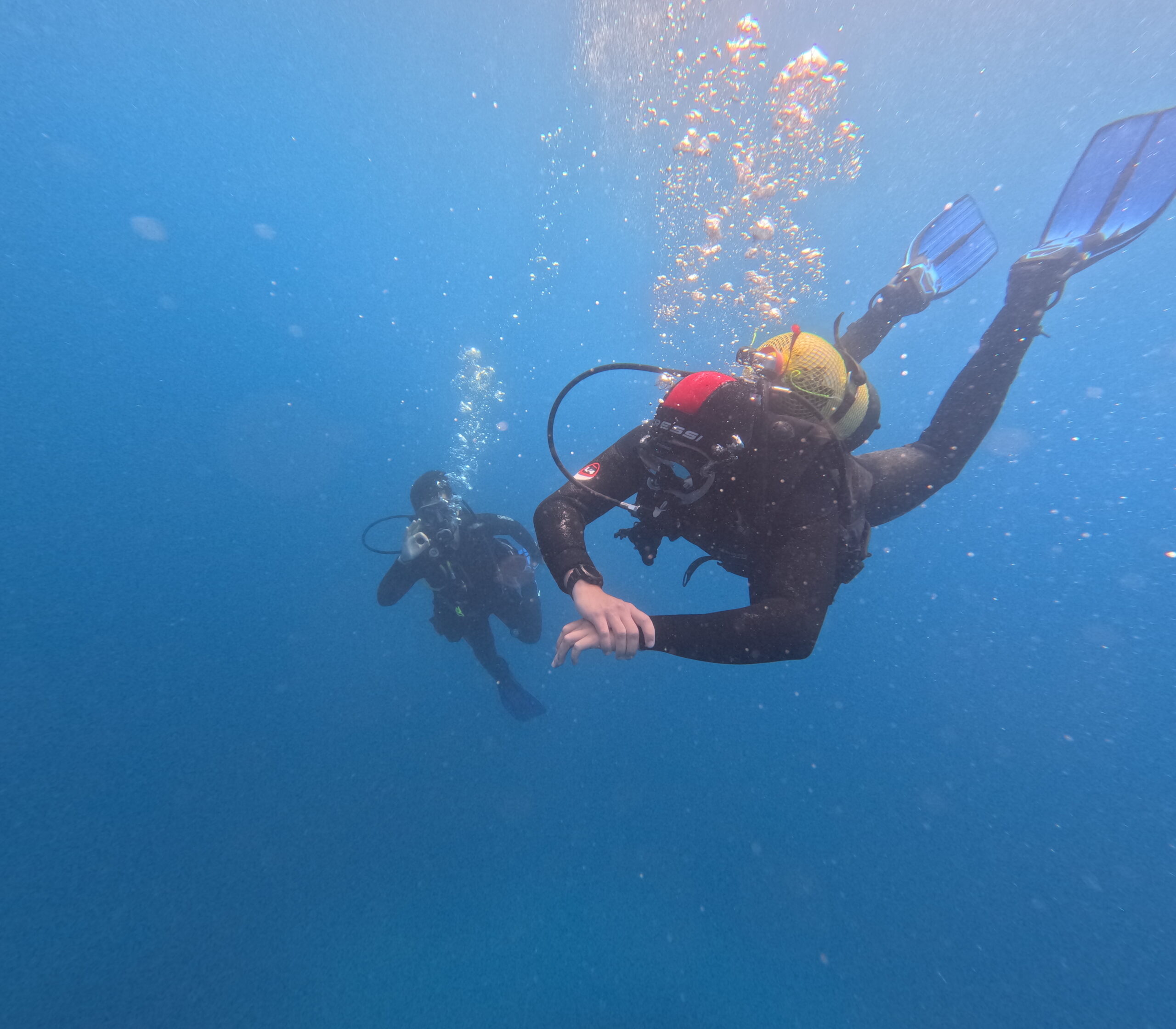 Un día en Oceanos – Oceanos Diving Center