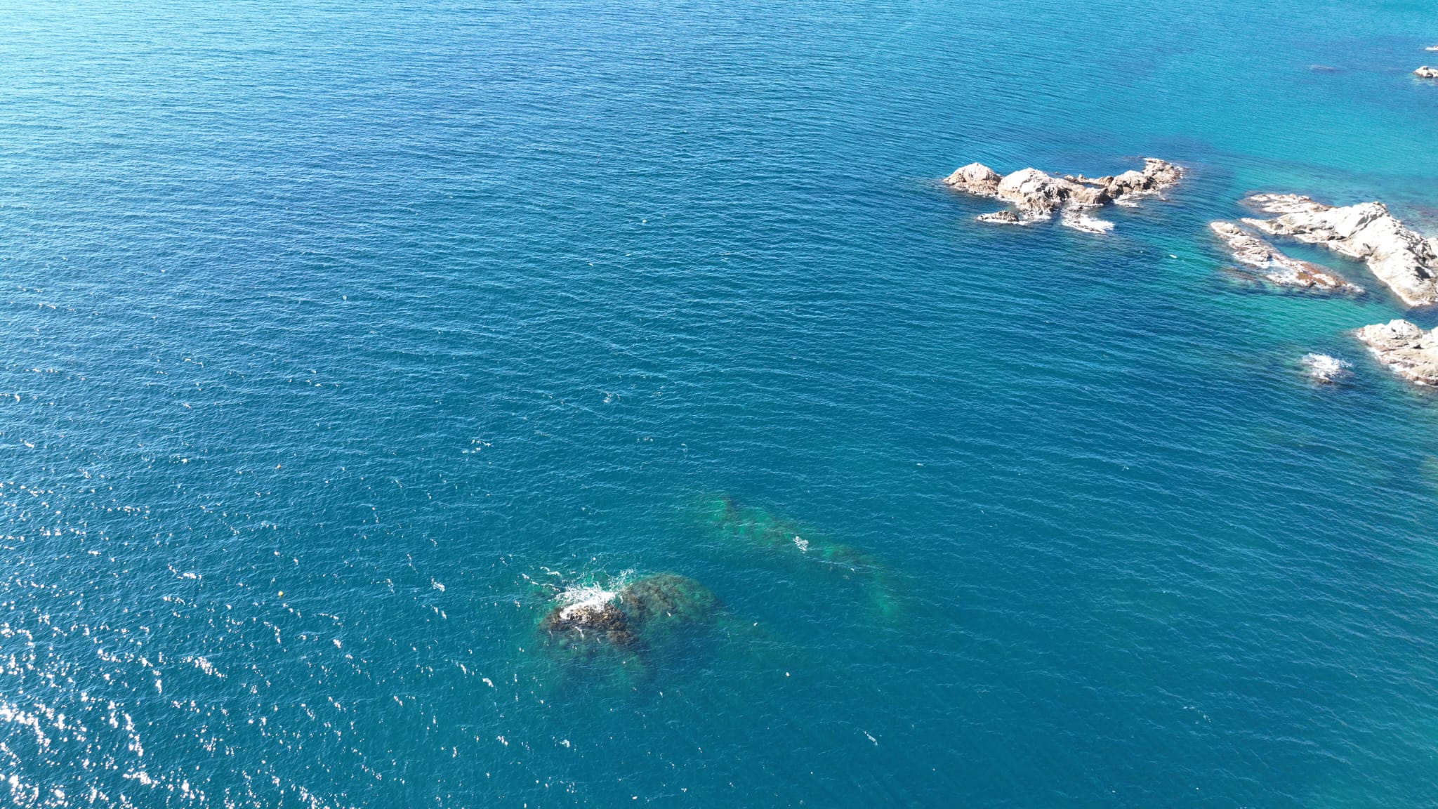 Más de una década compartiendo el mar – Oceanos Diving Center